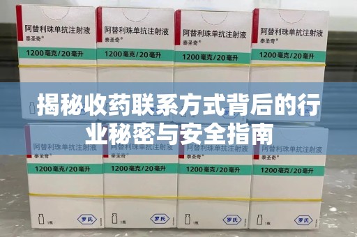 佛山揭秘收药联系方式背后的行业秘密与安全指南