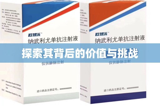佛山探索其背后的价值与挑战