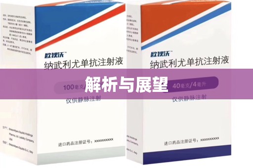 佛山解析与展望