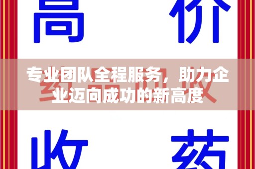 佛山专业团队全程服务，助力企业迈向成功的新高度